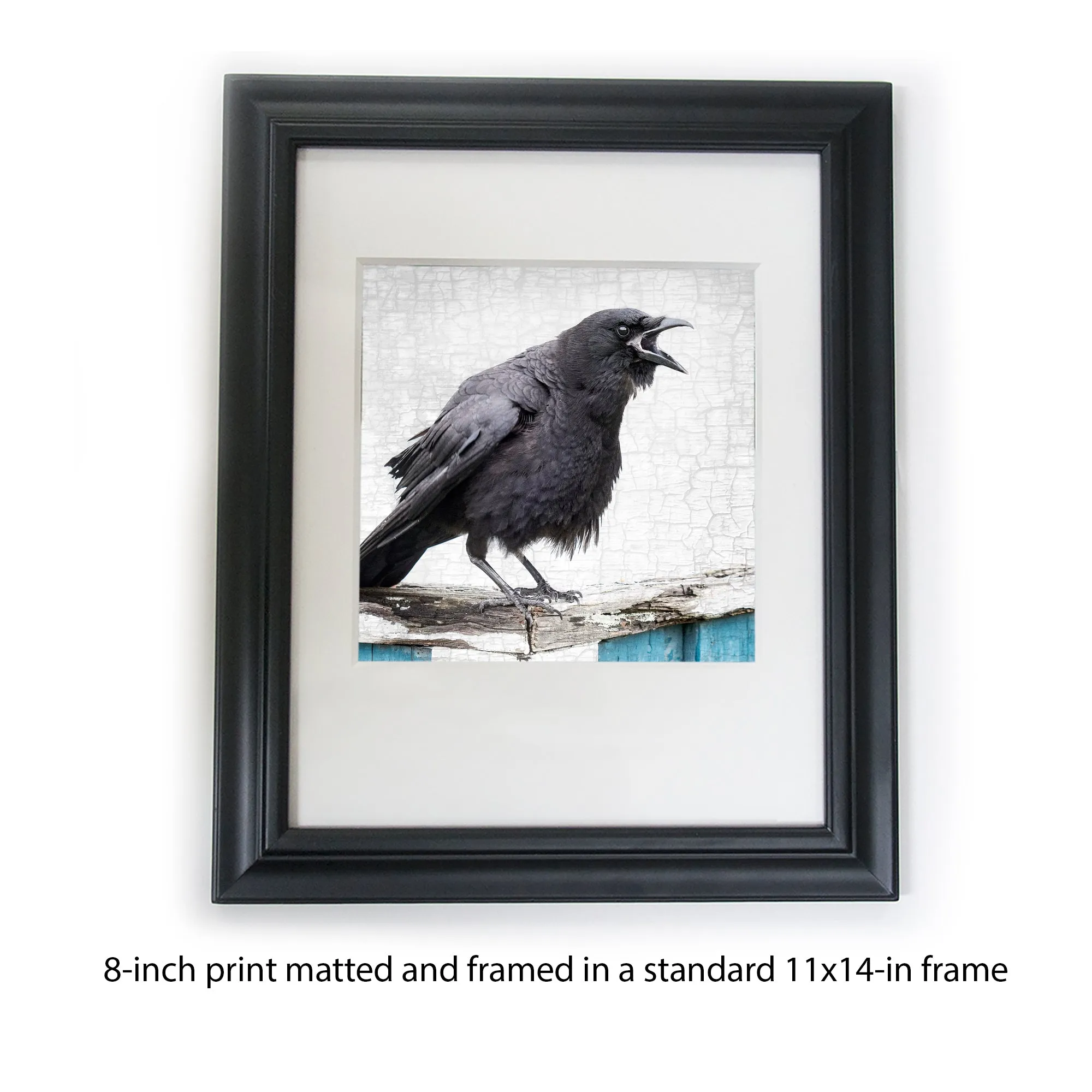 A LOCAL NEWS SOURCE - Fine Art Print, Crow Portrait Series